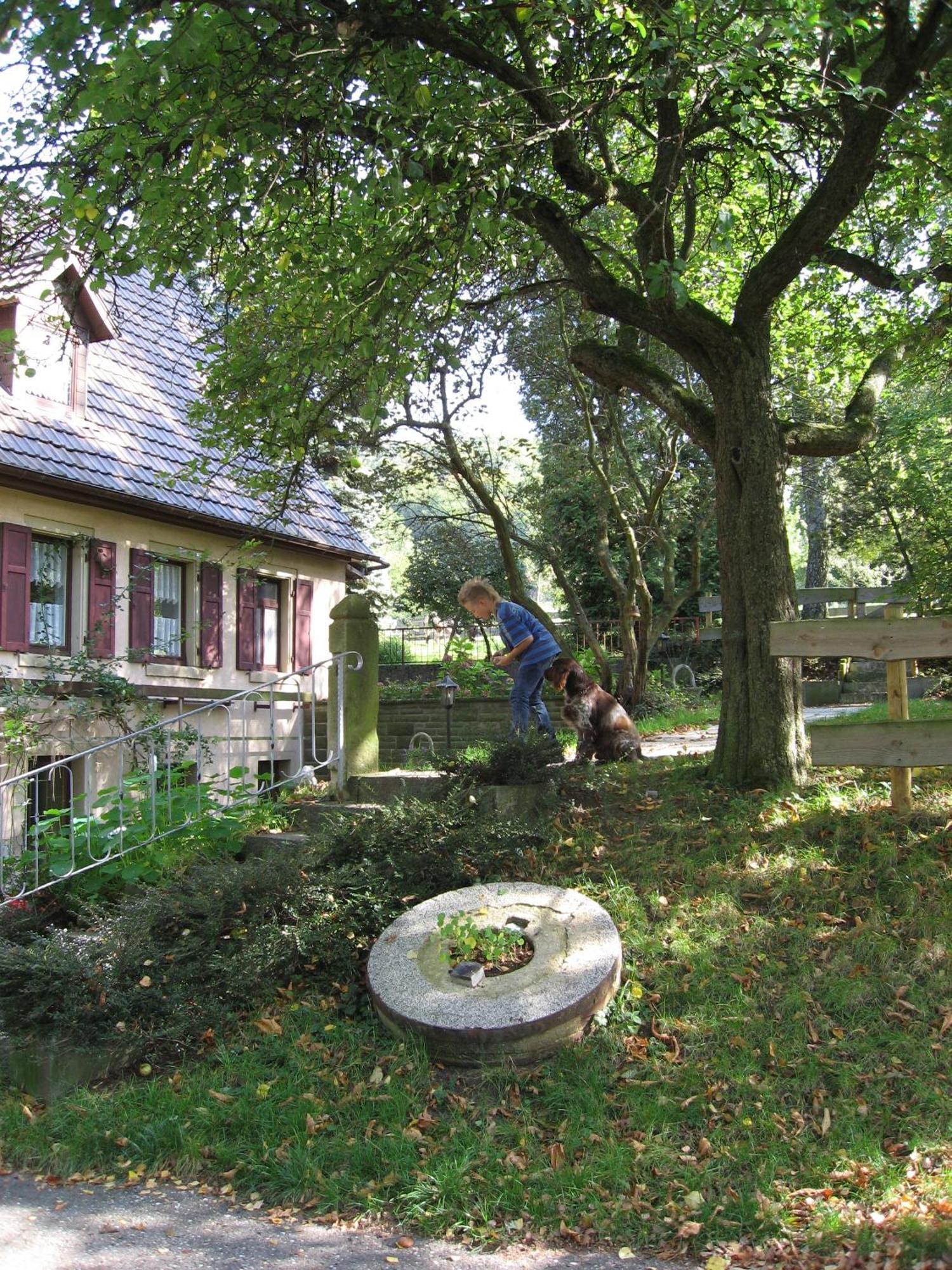 Gasthaus Zur Olmuhle Hotel Oberderdingen Exterior foto